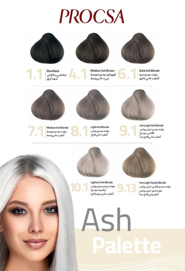 کاتالوگ رنگ دودی پروکسا