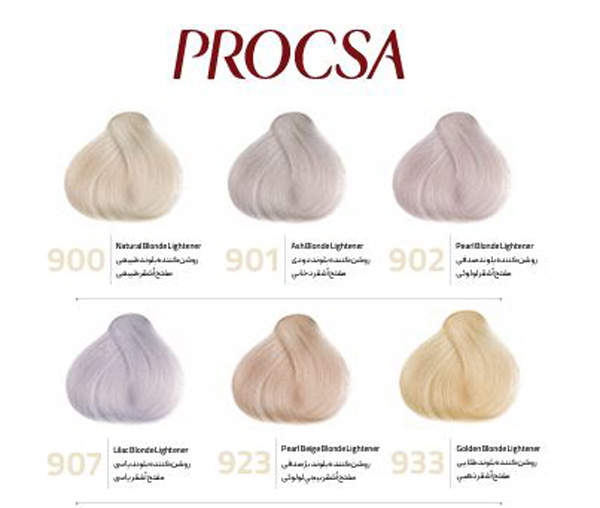 کاتالوگ پروکسا