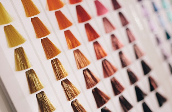 کاتالوگ رنگ مو، انواع آلبوم رنگ مو