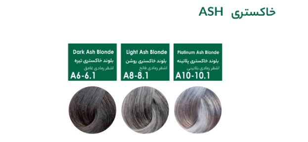 رنگ مو سری خاکستری پیکارو