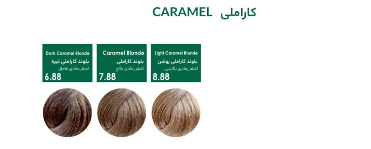 رنگ مو سری کاراملی پیکارو