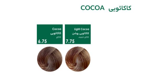 رنگ مو سری کاکائویی پیکارو