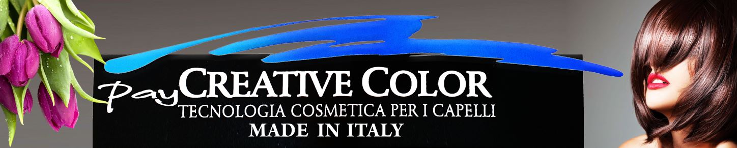 کاتالوگ کریتیو2