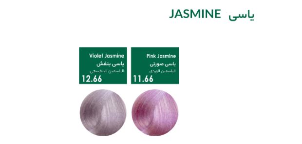 رنگ مو سری یاسی دوپیر