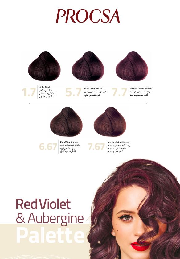 کاتالوگ رنگ مو بادمجانی پروکسا